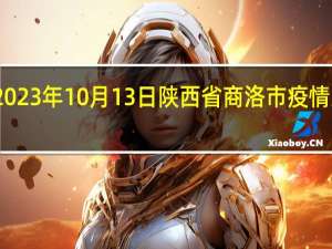 2023年10月13日陕西省商洛市疫情大数据-今日/今天疫情全网搜索最新实时消息动态情况通知播报