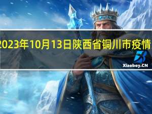 2023年10月13日陕西省铜川市疫情大数据-今日/今天疫情全网搜索最新实时消息动态情况通知播报