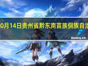 2023年10月14日贵州省黔东南苗族侗族自治州疫情大数据-今日/今天疫情全网搜索最新实时消息动态情况通知播报