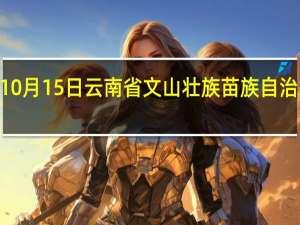 2023年10月15日云南省文山壮族苗族自治州疫情大数据-今日/今天疫情全网搜索最新实时消息动态情况通知播报