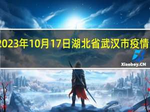 2023年10月17日湖北省武汉市疫情大数据-今日/今天疫情全网搜索最新实时消息动态情况通知播报