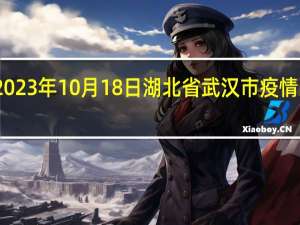 2023年10月18日湖北省武汉市疫情大数据-今日/今天疫情全网搜索最新实时消息动态情况通知播报