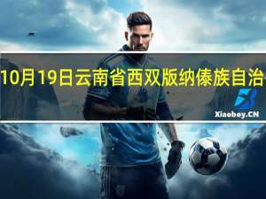 2023年10月19日云南省西双版纳傣族自治州疫情大数据-今日/今天疫情全网搜索最新实时消息动态情况通知播报