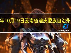 2023年10月19日云南省迪庆藏族自治州疫情大数据-今日/今天疫情全网搜索最新实时消息动态情况通知播报