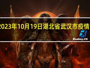 2023年10月19日湖北省武汉市疫情大数据-今日/今天疫情全网搜索最新实时消息动态情况通知播报