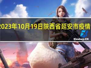 2023年10月19日陕西省延安市疫情大数据-今日/今天疫情全网搜索最新实时消息动态情况通知播报