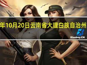 2023年10月20日云南省大理白族自治州疫情大数据-今日/今天疫情全网搜索最新实时消息动态情况通知播报