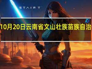 2023年10月20日云南省文山壮族苗族自治州疫情大数据-今日/今天疫情全网搜索最新实时消息动态情况通知播报