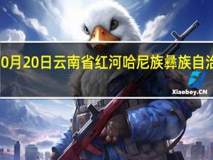 2023年10月20日云南省红河哈尼族彝族自治州疫情大数据-今日/今天疫情全网搜索最新实时消息动态情况通知播报