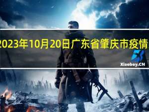 2023年10月20日广东省肇庆市疫情大数据-今日/今天疫情全网搜索最新实时消息动态情况通知播报