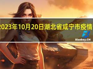 2023年10月20日湖北省咸宁市疫情大数据-今日/今天疫情全网搜索最新实时消息动态情况通知播报