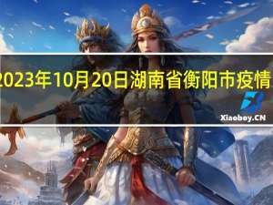 2023年10月20日湖南省衡阳市疫情大数据-今日/今天疫情全网搜索最新实时消息动态情况通知播报