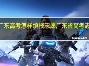 2023广东高考怎样填报志愿 广东省高考志愿填报系统