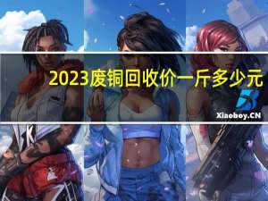 2023废铜回收价一斤多少元