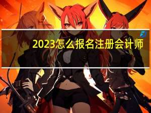 2023怎么报名注册会计师