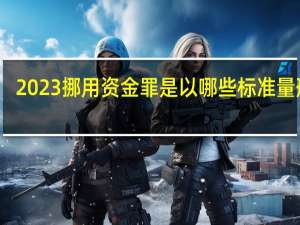 2023挪用资金罪是以哪些标准量刑的