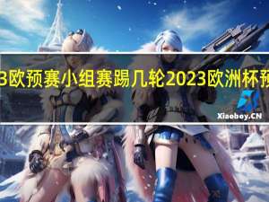 2023欧预赛小组赛踢几轮 2023欧洲杯预选赛结果