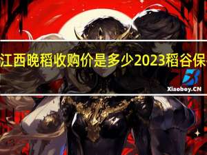 2023江西晚稻收购价是多少 2023稻谷保护价格多少