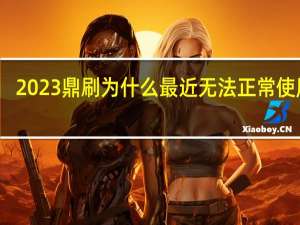 2023鼎刷为什么最近无法正常使用了