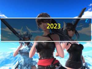 2023-10-13云南迪庆藏族自治州维西傈僳族自治县(竹菌)的报价是多少