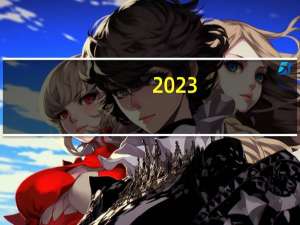 2023-11-06云南西双版纳傣族自治州景洪市(竹菌)的报价是多少