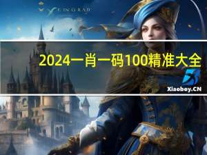 2024一肖一码100精准大全，诽语精选答案落实_火爆网页版19.9