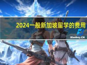 2024一般新加坡留学的费用