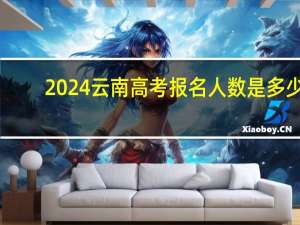 2024云南高考报名人数是多少