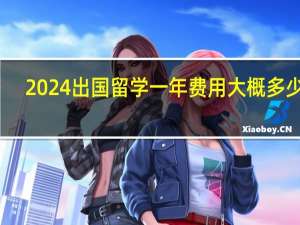 2024出国留学一年费用大概多少钱