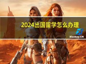 2024出国留学怎么办理