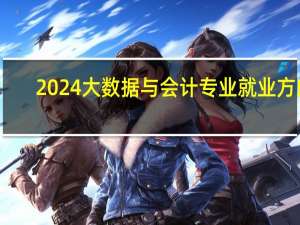 2024大数据与会计专业就业方向