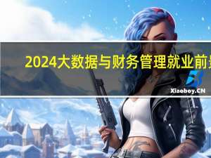 2024大数据与财务管理就业前景