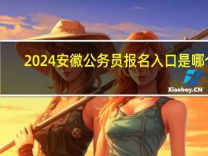 2024安徽公务员报名入口是哪个