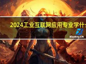 2024工业互联网应用专业学什么