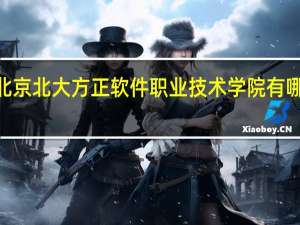 2024年北京北大方正软件职业技术学院有哪些专业比较好