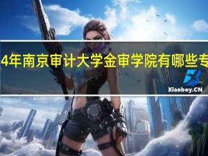 2024年南京审计大学金审学院有哪些专业比较好