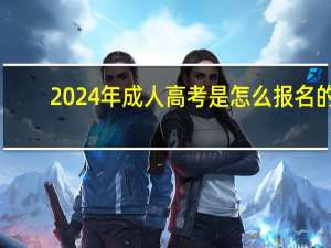 2024年成人高考是怎么报名的