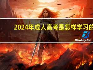 2024年成人高考是怎样学习的
