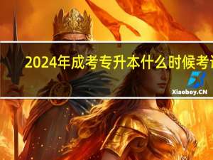 2024年成考专升本什么时候考试