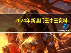 2024年新澳门王中王资料,重要精选解释落实_Sims6.94.81