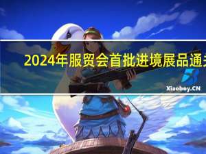 2024年服贸会首批进境展品通关