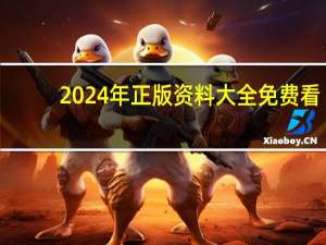 2024年正版资料大全免费看_值得支持_安装版v287.578