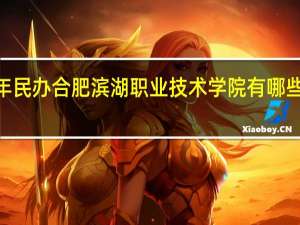 2024年民办合肥滨湖职业技术学院有哪些专业比较好