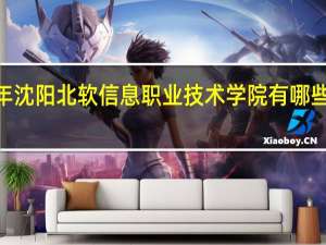 2024年沈阳北软信息职业技术学院有哪些专业比较好