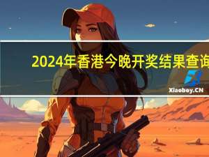 2024年香港今晚开奖结果查询，惊心动魄精选答案落实_WL228.925