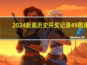 2024新奥历史开奖记录49图库,眉月精选解释落实_iPad80.24.80