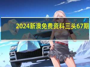 2024新澳免费资料三头67期，有条有理精选答案落实_新奇版8.4