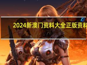 2024新澳门资料大全正版资料：通俗的解析落实-1745.XM0.98