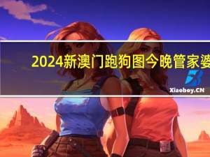 2024新澳门跑狗图今晚管家婆_智能AI深度解析_百度大脑版A12.31.1091