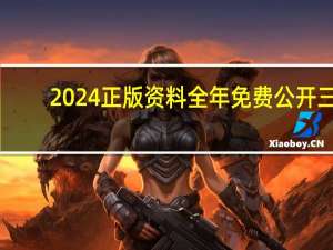 2024正版资料全年免费公开三，痛苦精选答案落实_iShop29.73